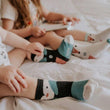 Load image into Gallery viewer, Organic Cotton Socks (3 Pairs) - Arctic