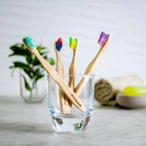 Compostable Bamboo Toothbrushes